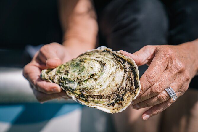 Coffin Bay Day Tour - A Taste of Coffin Bay - Summary