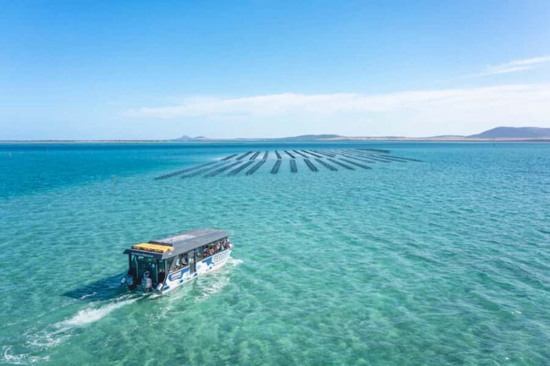 Coffin Bay: Oyster Farm Boat Tour with Wading & 12 Oysters - Who Will Love This Tour?