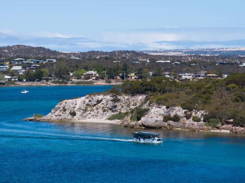 Coffin Bay: Short and Sweet Oyster Farm Tour - The Value of the Experience
