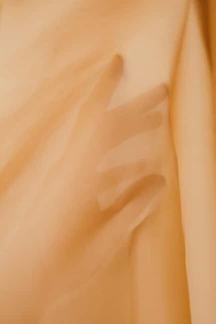 Cognac: Sensory tasting workshop - Key Points