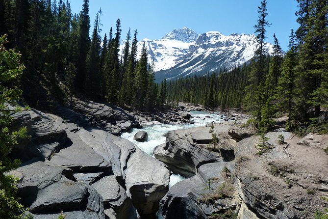 Coho - Explore Banff and Jasper National Parks (4-Days) - Final Thoughts: Who Will Love This Tour?