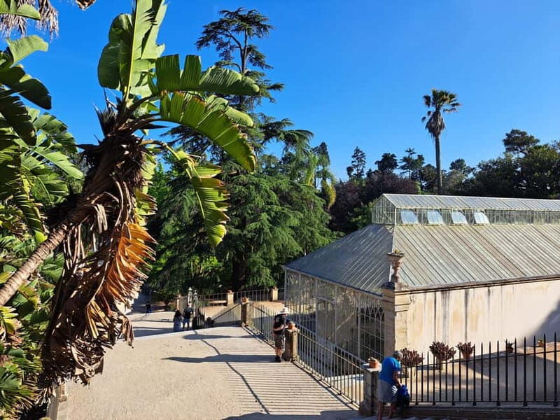 Coimbra: Adventure, Discovery & Learning with a Local - Wrapping Up: The Magical Mermaid Garden