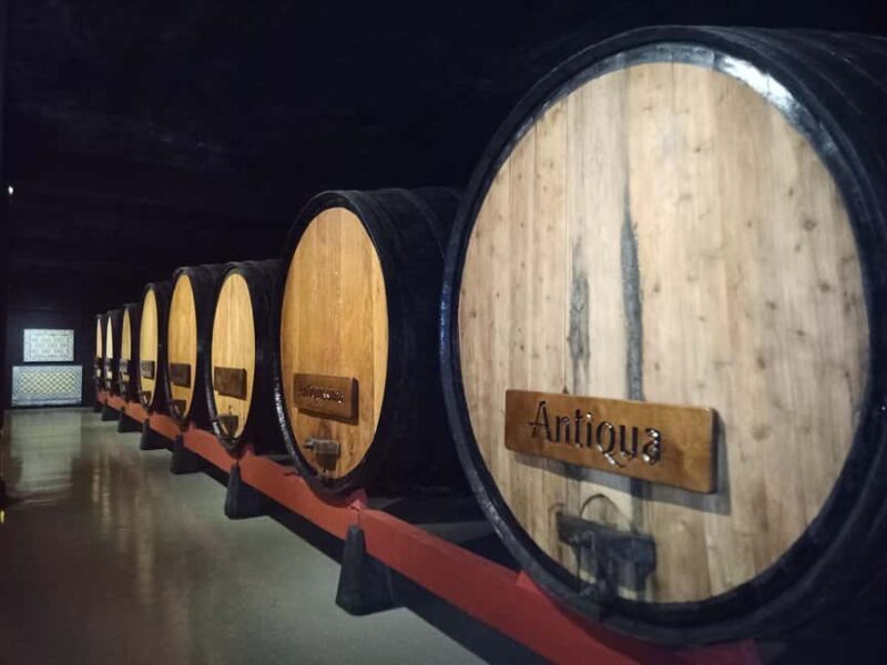 Coimbra: Bairrada Food Tour - Key Points