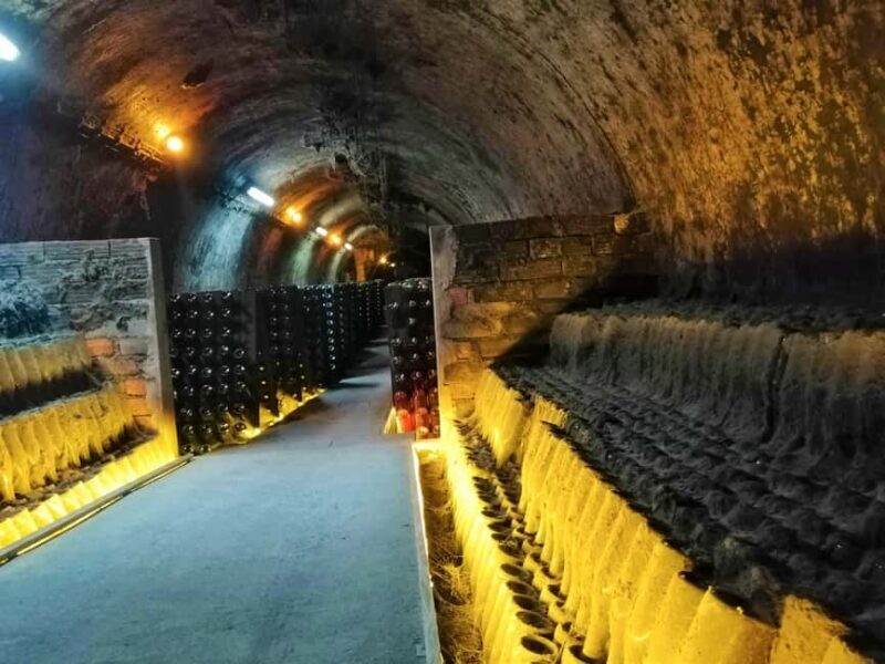 Coimbra: Bairrada Food Tour - FAQs