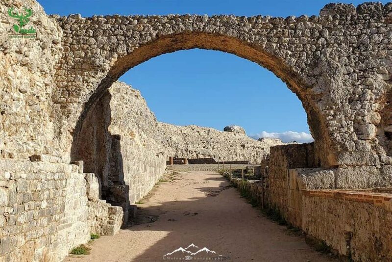 Coimbra: Conimbriga Ruins and Roman Heritage Tour - Key Points