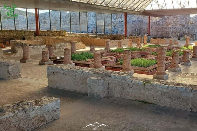 Coimbra: Conimbriga Ruins and Roman Heritage Tour - Discovering the Best of Conimbriga: What You’ll Experience