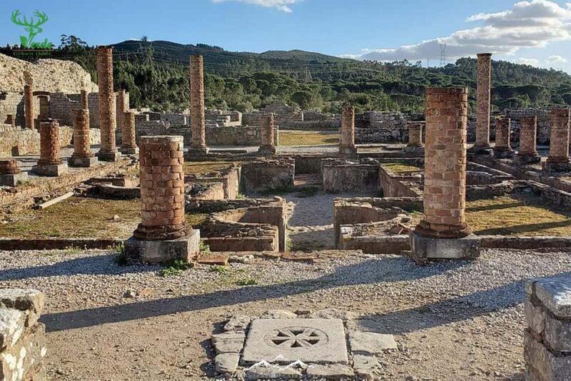 Coimbra: Conimbriga Ruins and Roman Heritage Tour - What Travelers Are Saying