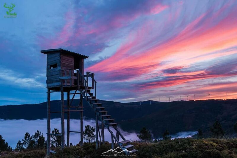 Coimbra: Lousã Mountain 4x4 Tour with Deer Watching - How the Experience Adds Value