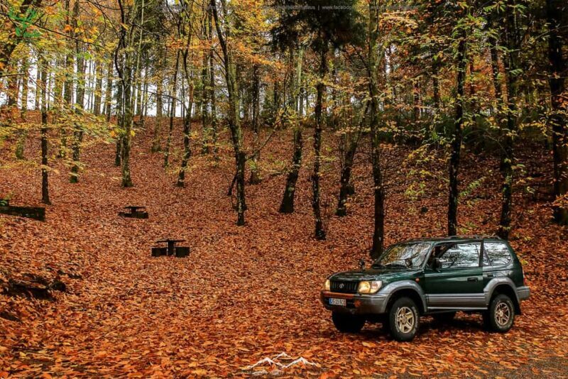 Coimbra: Lousã Mountain 4x4 Tour with Deer Watching - Who Should Consider This Tour?