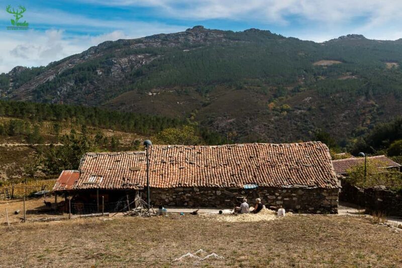 Coimbra: Lousã Mountain Schist Villages Tour - What You Can Expect from the Tour