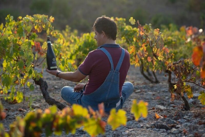 Coimbra: Prior Lucas Wine Experience - What Is the Prior Lucas Wine Experience?