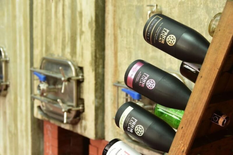 Coimbra: Prior Lucas Wine Experience - The Vineyard and Winery Tour