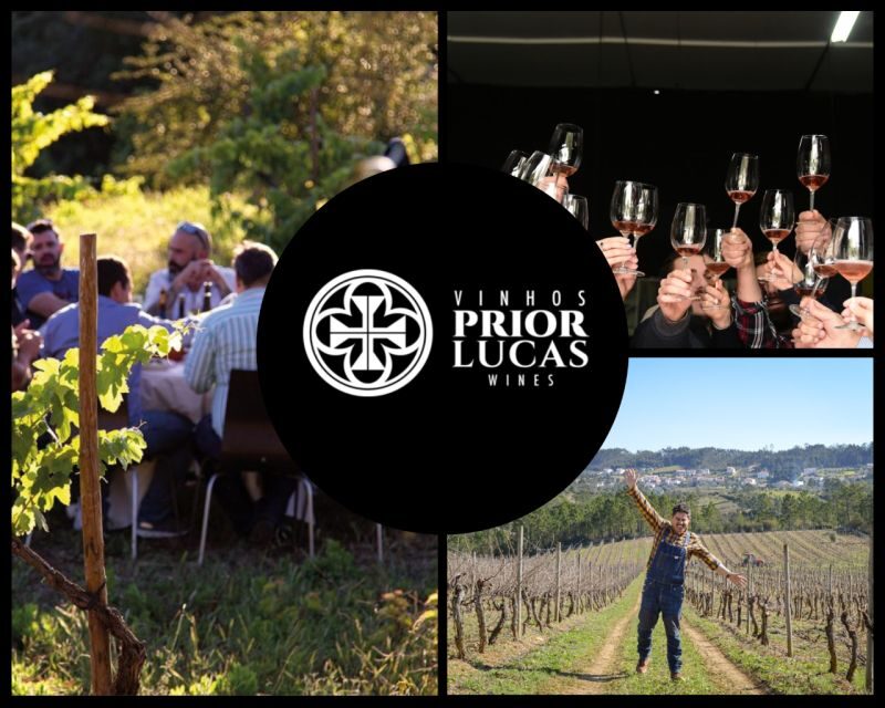 Coimbra: Prior Lucas Wine Experience - Food Pairings and Optional Extras