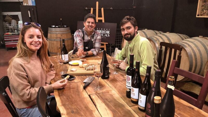 Coimbra: Prior Lucas Wine Experience - Who Should Consider This Tour?