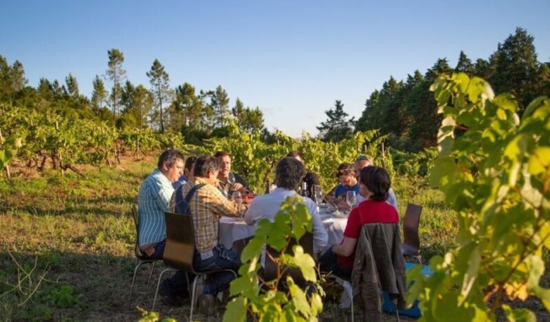 Coimbra: Prior Lucas Wine Experience - Final Thoughts