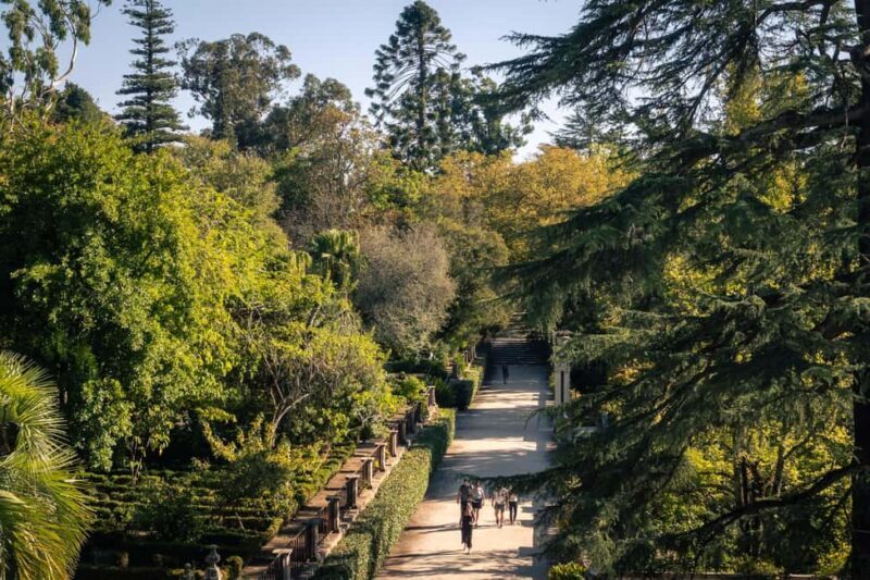 Coimbra: Private & Flexible Walking Tour in Historic Center - Price and Value