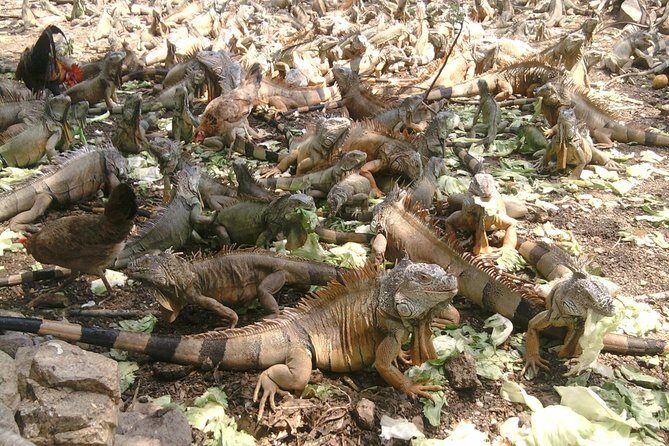 colima cultural and volcano - Key Points