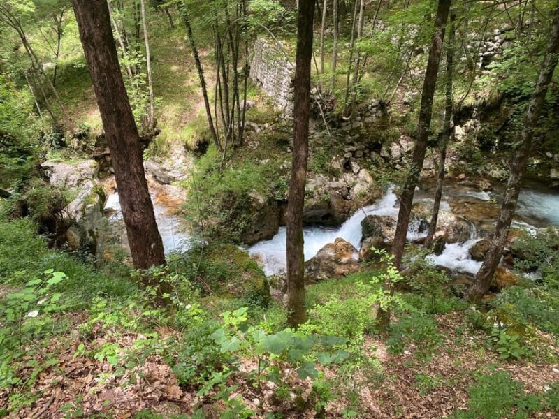 Collepardo: Trisulti Charterhouse and Hermitage Guided Hike - An In-Depth Look at the Experience