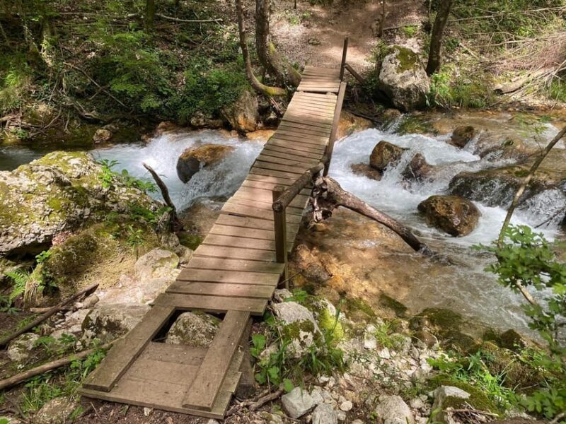 Collepardo: Trisulti Charterhouse and Hermitage Guided Hike - Is This Tour Worth It?