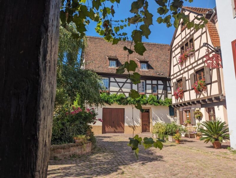 Colmar: Unusual Walking Tour with a local guide - A Detailed Look at the Tour Experience