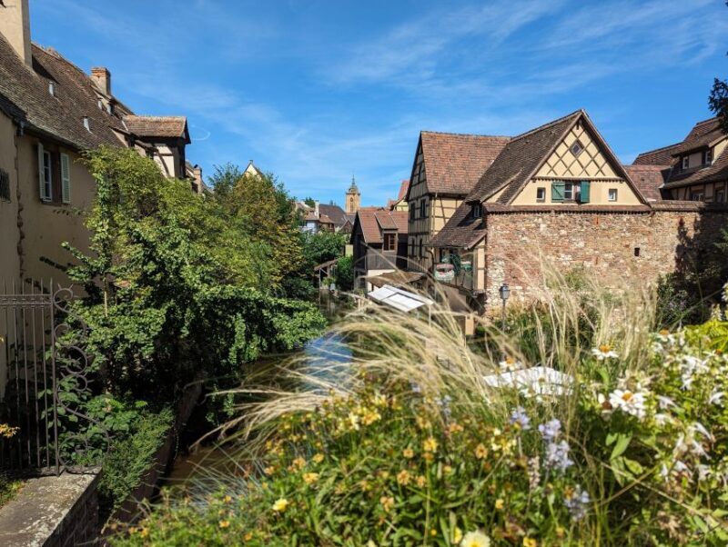 Colmar: Unusual Walking Tour with a local guide - Who Will Love This Tour?
