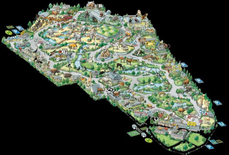 Cologne: Cologne Zoo and Aquarium Entry Ticket - Who Is This Experience Best For?