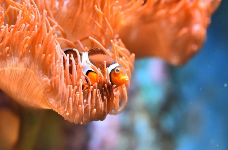 Cologne: Cologne Zoo and Aquarium Entry Ticket - Final Thoughts