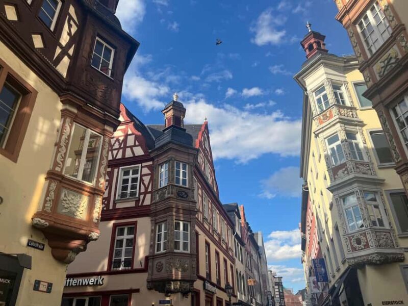 Cologne: Full-Day Mosel Valley Tour with River Cruise - Who Is This Tour Best For?