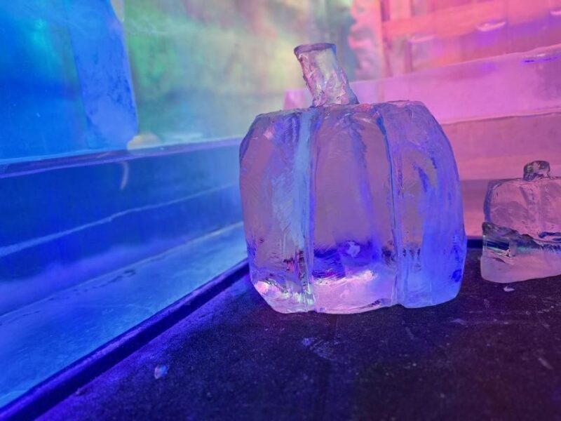 Cologne: IceBar Entry Ticket with Drinks - Key Points