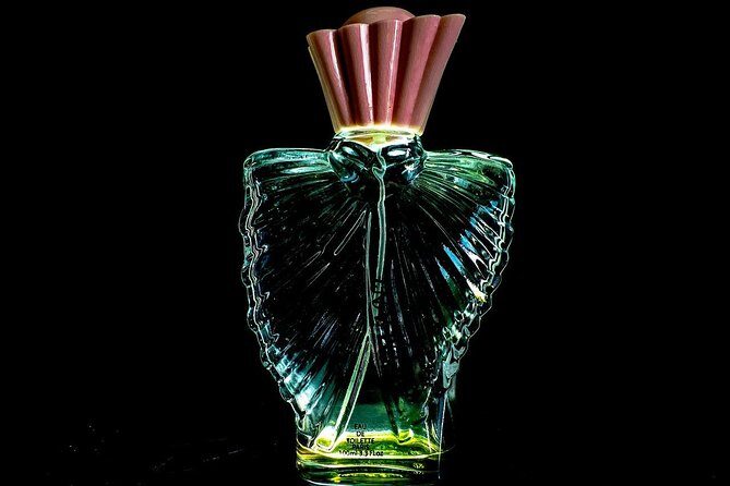 Cologne Private Full-Day Sightseeing Tour from Amsterdam - The Price and Overall Value