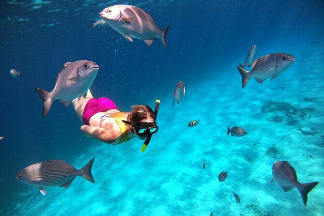 Colombia, Palancar & Cielo Cozumel Snorkel Tour - Who Should Consider This Tour?