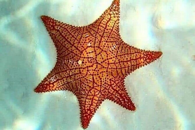 Colombia, Palancar & Cielo Cozumel Snorkel Tour - FAQs