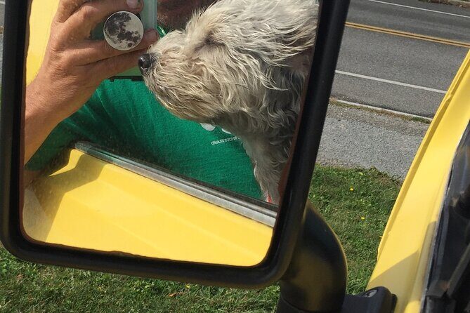 Colonial Hippies Tour - FAQ