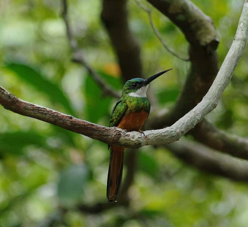 Colonial North Coast beaches - Full-Day Tour - Final Thoughts: Who Should Consider This Tour?