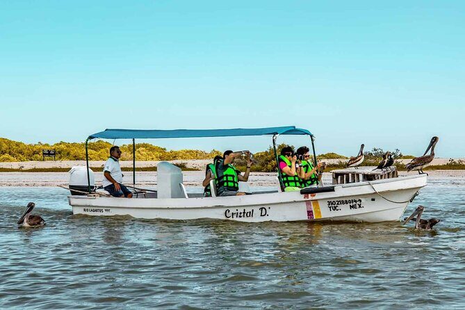 Coloradas Adventure and Cancunito Beach Tour from Merida - FAQs