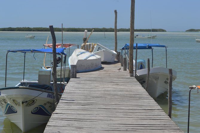 Coloradas Bioexperiences - A Closer Look at the Experience