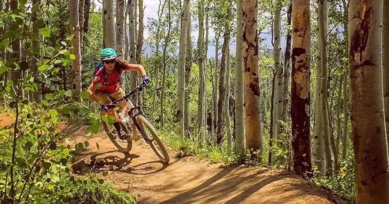 Colorado: Guided Mountain Bike Ride - What to Expect from the Colorado Mountain Bike Tour