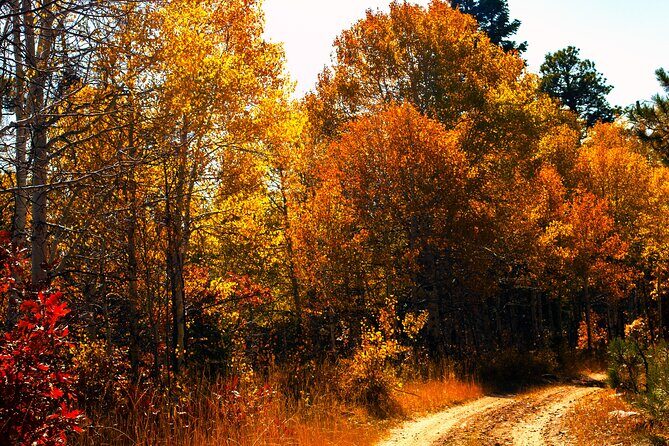 Colorado Peak-to-Peak Tour (Fall-Color-Extravaganza) - The Practicalities: What the Tour Offers