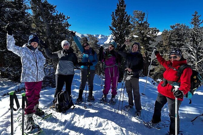 Colorado Snowshoeing Adventure in the Rocky Mountains - Who Is This Tour Best For?