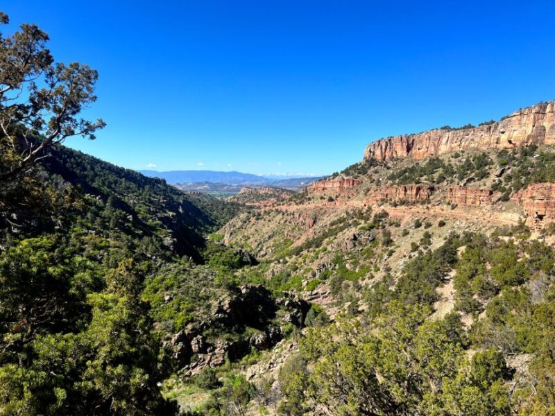 Colorado Springs: Cripple Creek Backcountry Jeep Tour - Frequently Asked Questions