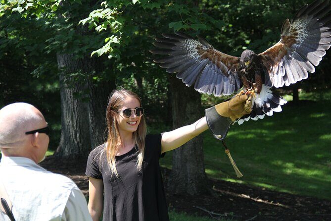 Colorado Springs Hands-On Falconry Class and Demonstration - What Is the Colorado Springs Hands-On Falconry Class?