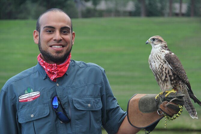 Colorado Springs Hands-On Falconry Class and Demonstration - What Makes This Experience stand Out?
