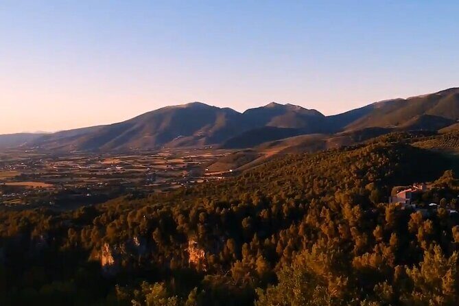 Colorful Tagliatelle & Walnut Ravioli  Home Cooking in Spoleto - Colorful Tagliatelle & Walnut Ravioli Home Cooking in Spoleto: A Practical, Tasty Review