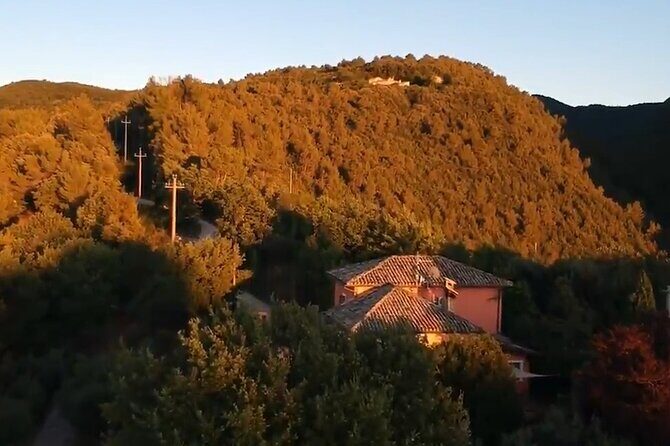 Colorful Tagliatelle & Walnut Ravioli  Home Cooking in Spoleto - FAQ