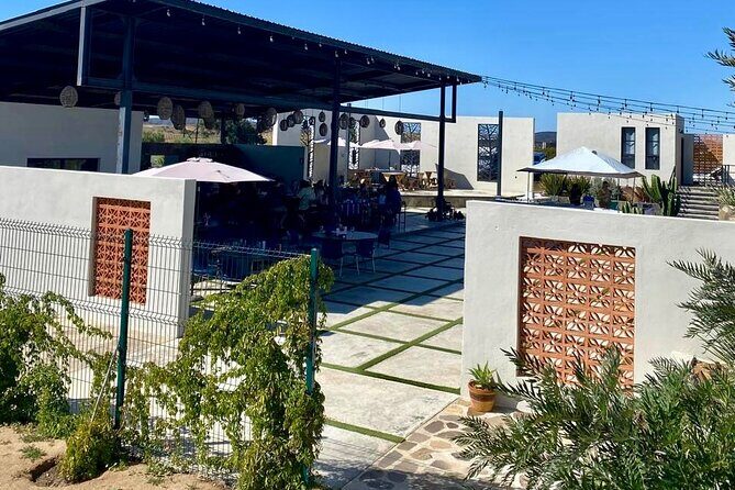 Colors of Ensenada Painting and Wine - Who Is This Tour Best Suited For?