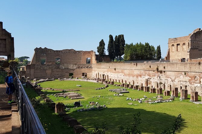 Colosseum Arena Floor Roman Forum and Palatine Hill Live Guide - Timing reality: 2.5 hours on the clock vs. Rome in motion