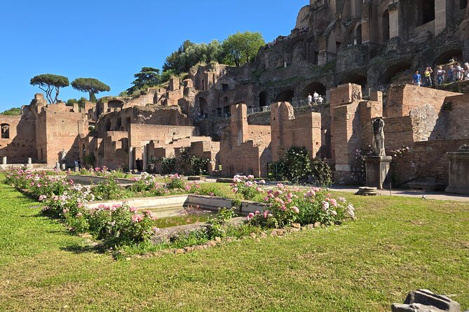 Colosseum Arena Floor, Roman Forum & Palatine Hill Guided Group Tour - Weather and Comfort: Rome Can Be Brutal in Summer