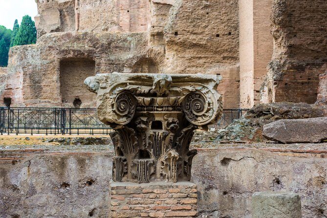 Colosseum, Baths of Caracalla and Circus Maximus Private Tour - Final Thoughts