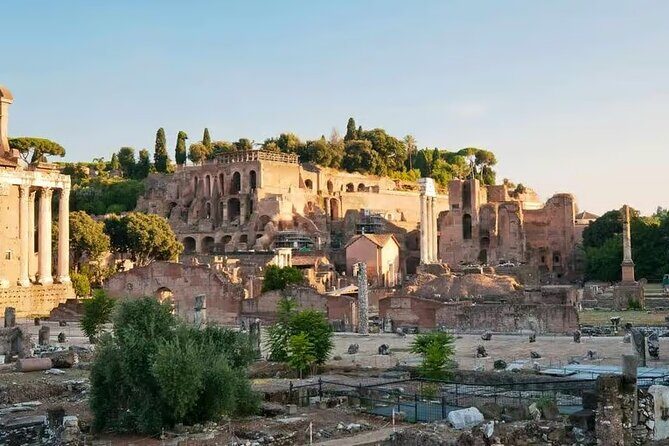 Colosseum Roman Forum and Palatine Hill Tour 2 Hours - The Bottom Line
