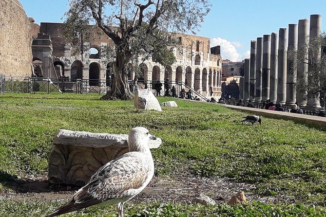 Colosseum, Roman Forum, Palatine - Exclusive Private Tour - An In-Depth Look at the Itinerary
